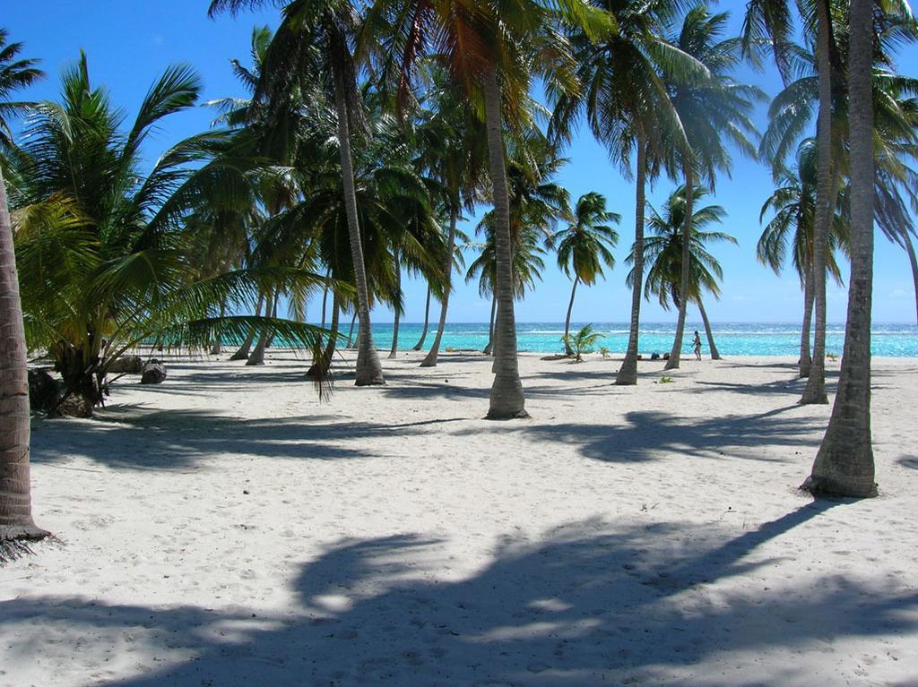 Caraibidamari Bayahibe Quarto foto